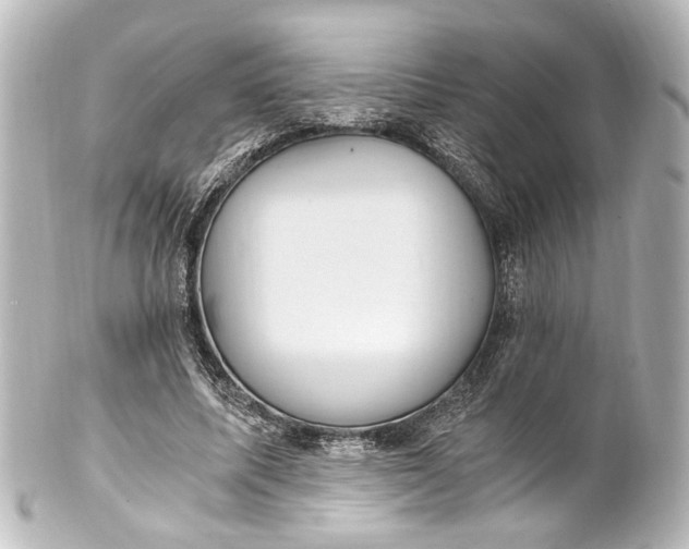 X0000101440587200807281024