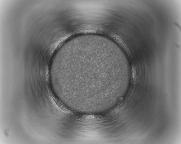 X0000101440588200807281024