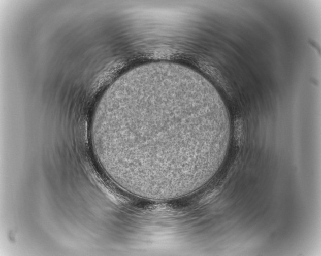 X0000101440589200807281024