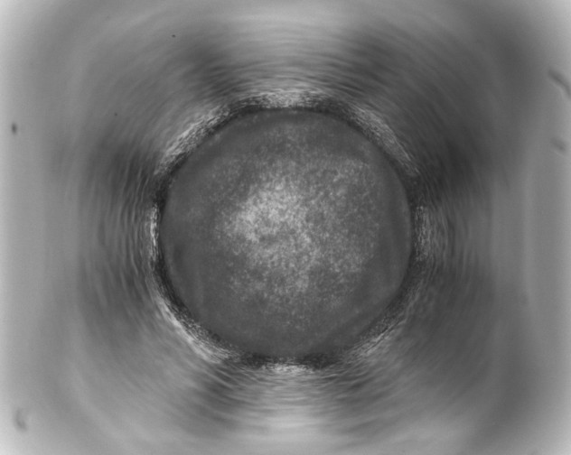 X0000101440590200807281024