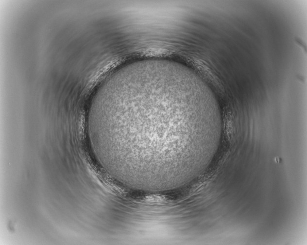 X0000101440591200807281024