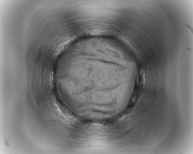 X0000101440592200807281024