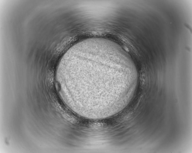 X0000101440593200807281024