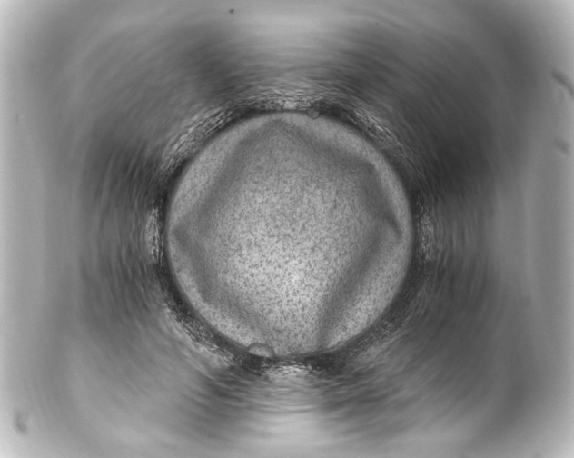 X0000101440594200807281024