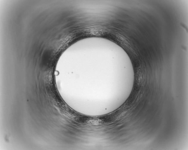 X0000101440595200807281024