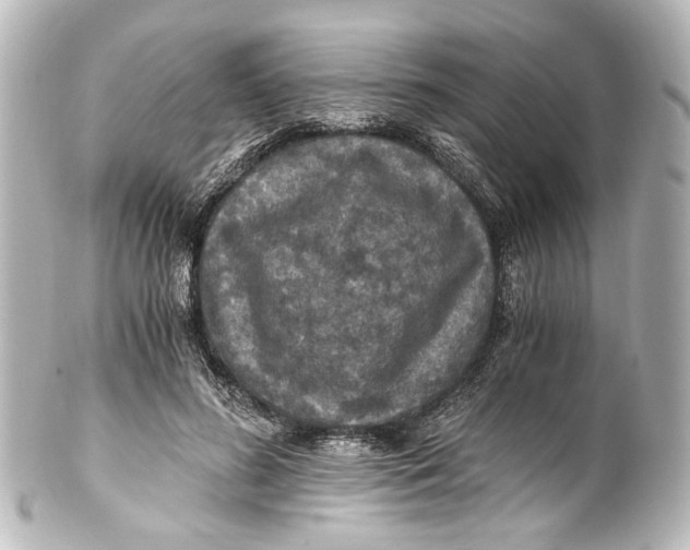 X0000101440596200807281024