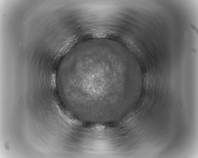 X0000101440598200807281024