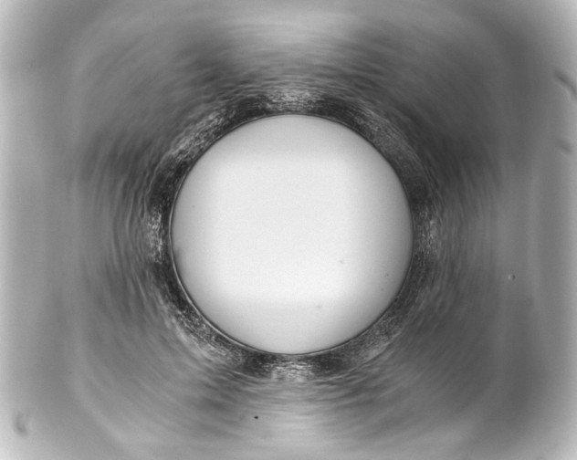 X0000101440599200807281024