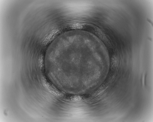 X0000101440600200807281024