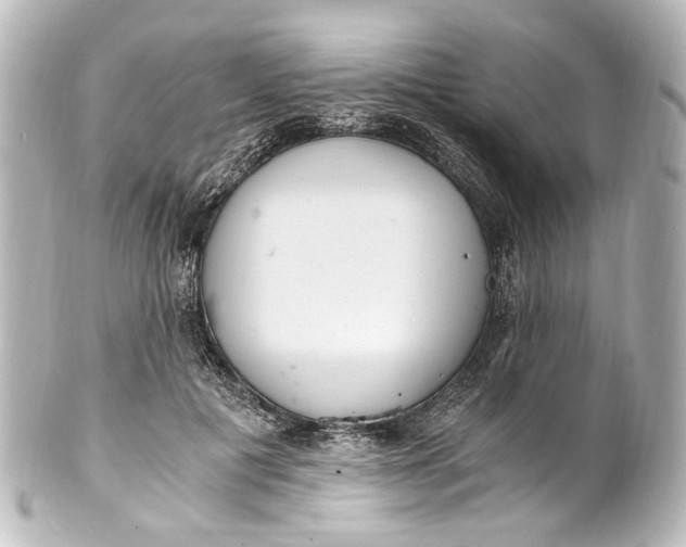 X0000101440601200807281024