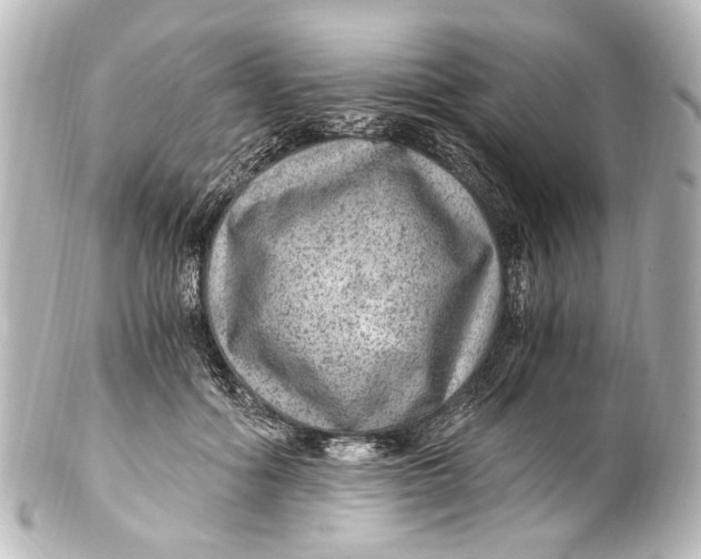 X0000101440602200807281024