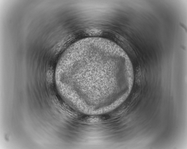 X0000101440604200807281024