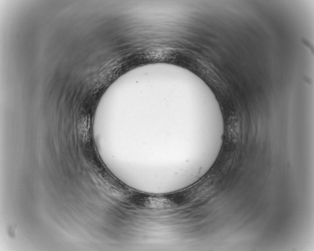 X0000101440605200807281024