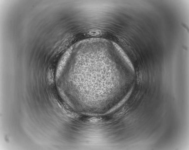 X0000101440606200807281024