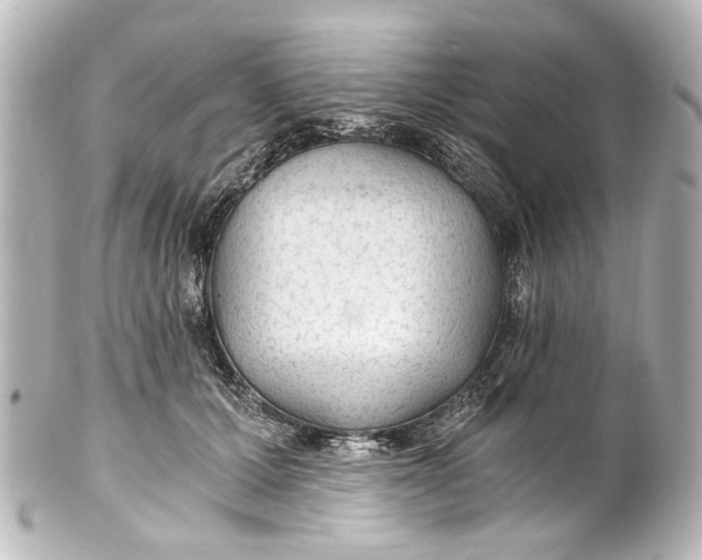 X0000101440607200807281024