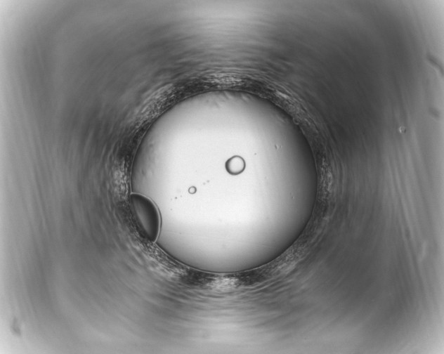 X0000101440609200807281024