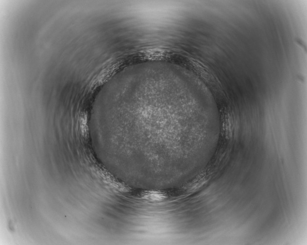 X0000101440610200807281024