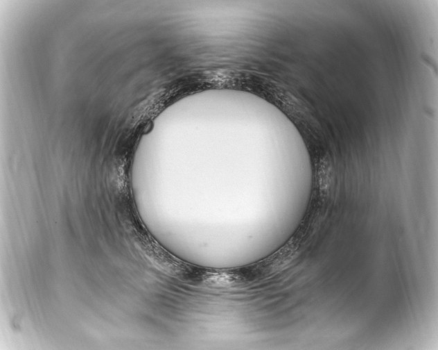 X0000101440611200807281024