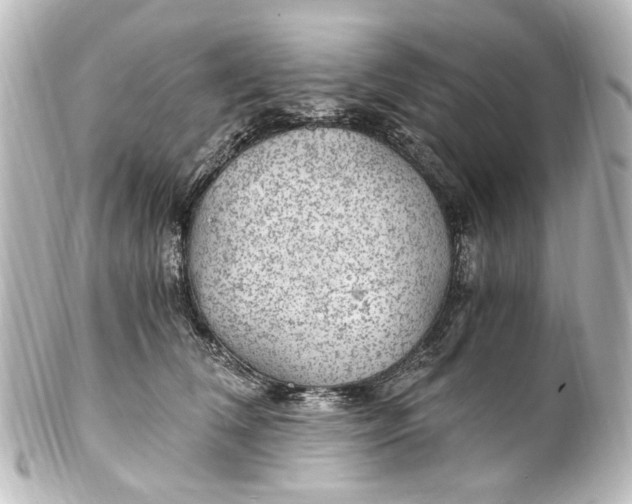 X0000101440612200807281024