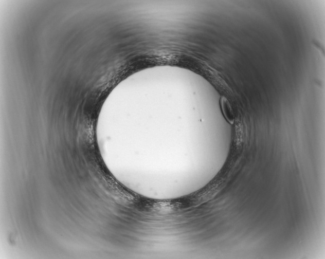 X0000101440613200807281024