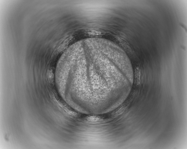 X0000101440614200807281024