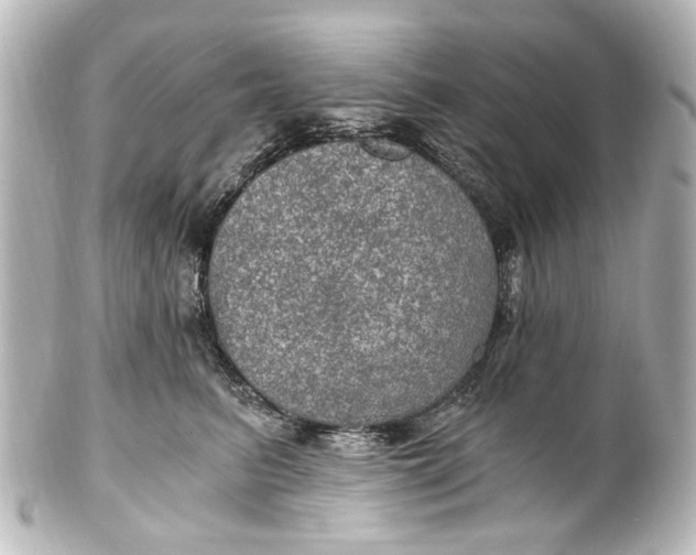 X0000101440615200807281024