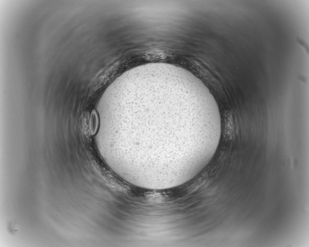 X0000101440616200807281024