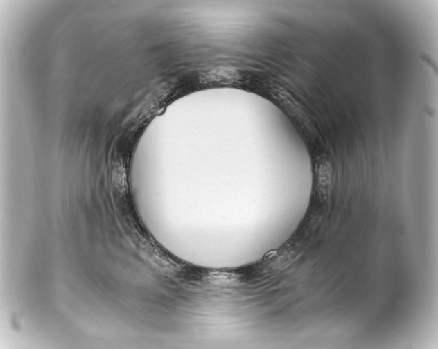 X0000101440617200807281024