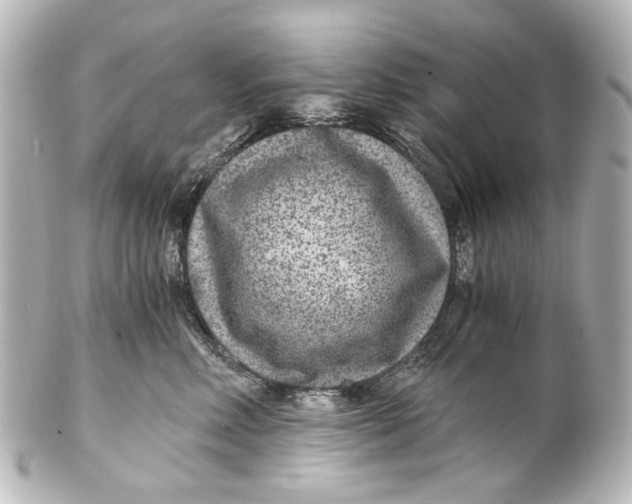 X0000101440618200807281024