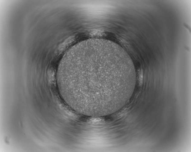 X0000101440619200807281024