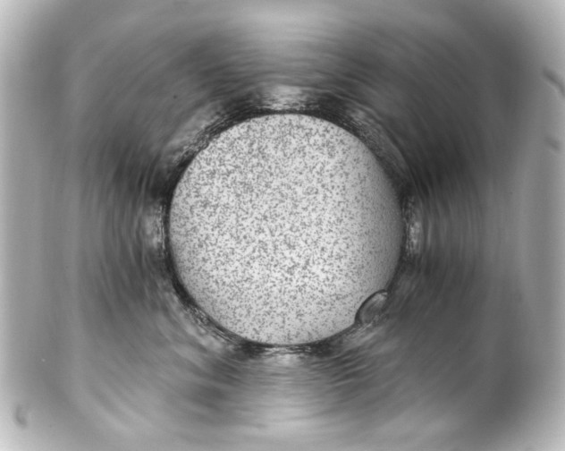 X0000101440620200807281024