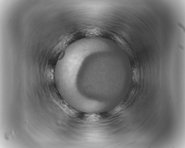 X0000101440621200807281024