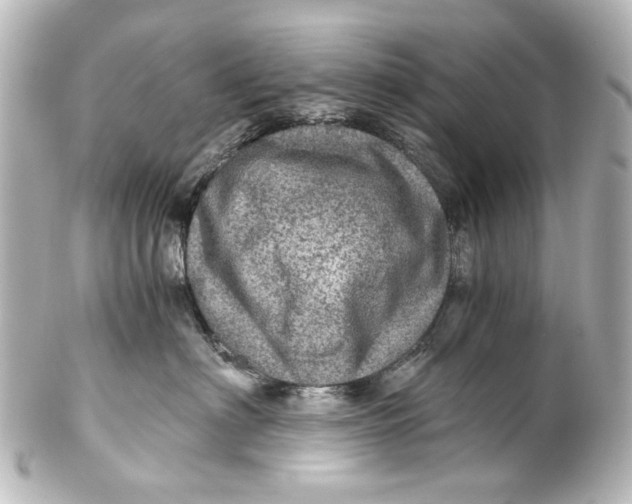 X0000101440622200807281024