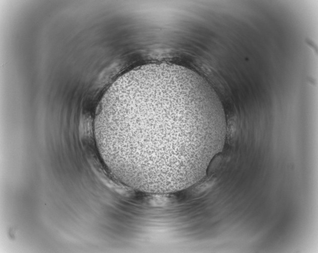 X0000101440623200807281024