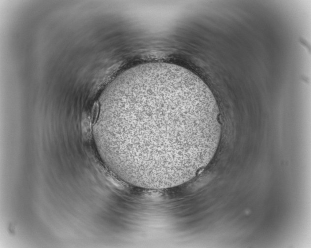 X0000101440624200807281024