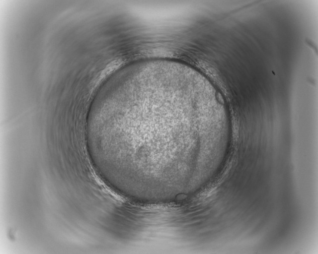 X0000101440625200807281023