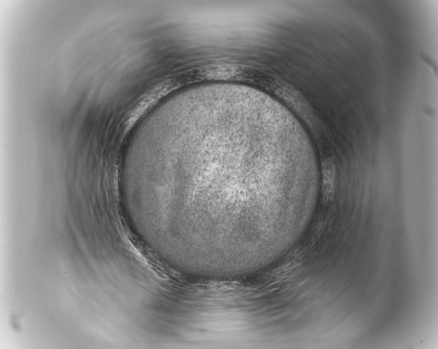 X0000101440626200807281023