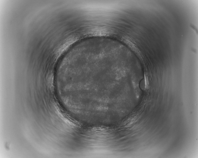 X0000101440627200807281023