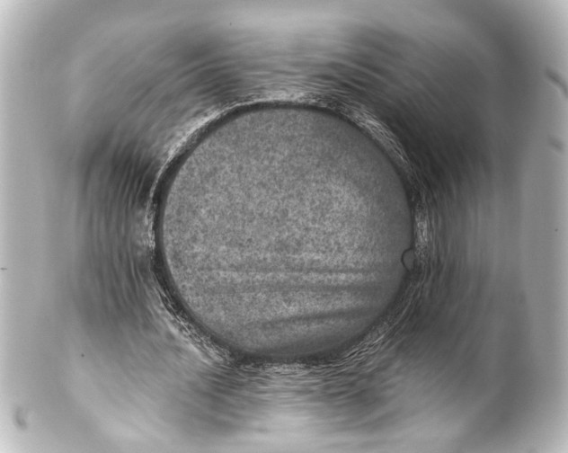 X0000101440628200807281023