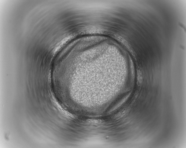 X0000101440629200807281023