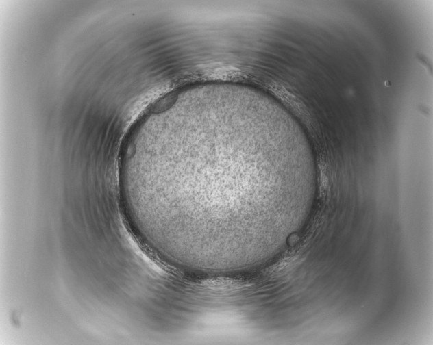 X0000101440630200807281023