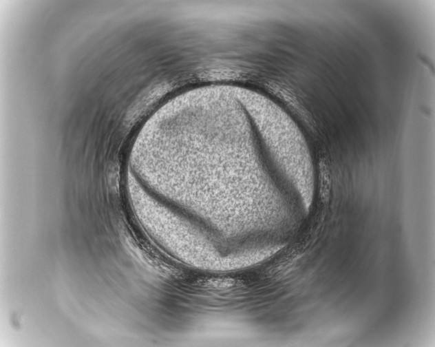 X0000101440631200807281023