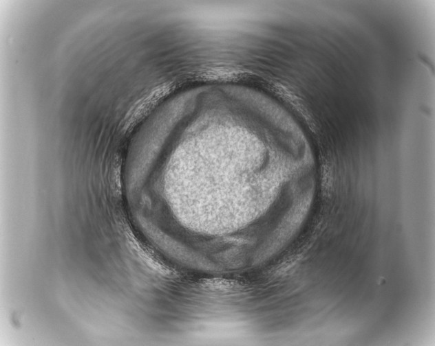 X0000101440633200807281023