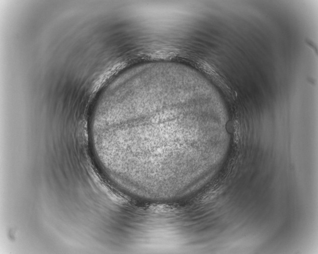 X0000101440634200807281023