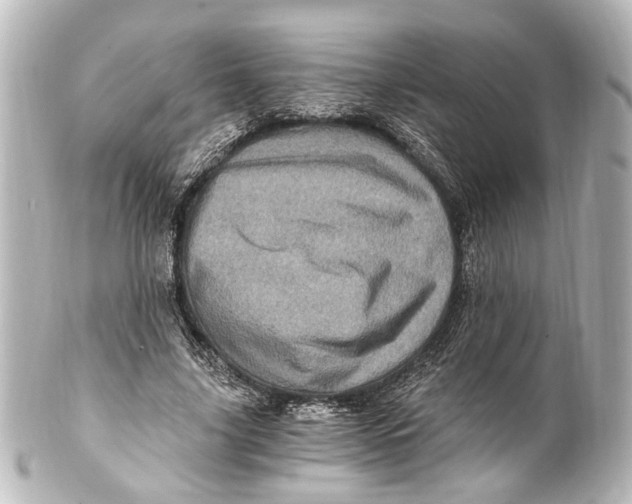 X0000101440635200807281023