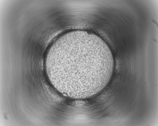 X0000101440636200807281023