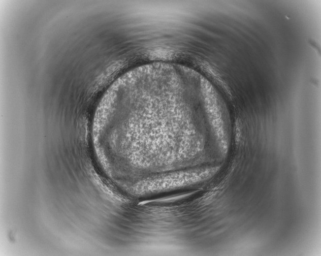 X0000101440637200807281023