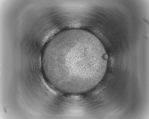 X0000101440638200807281023