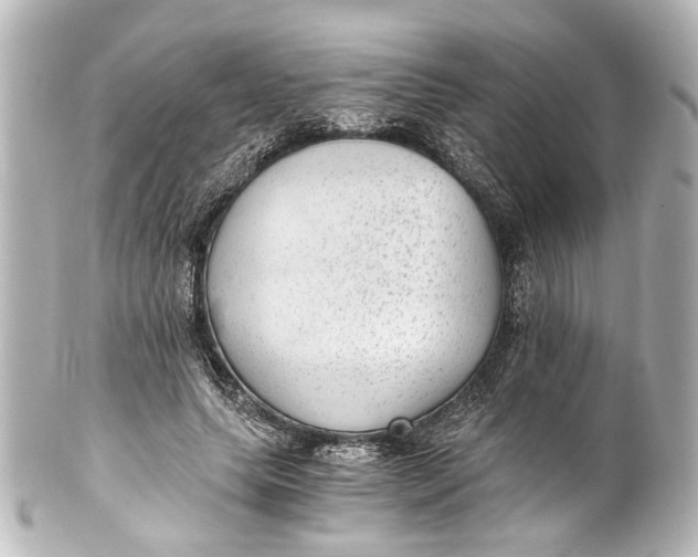 X0000101440639200807281023