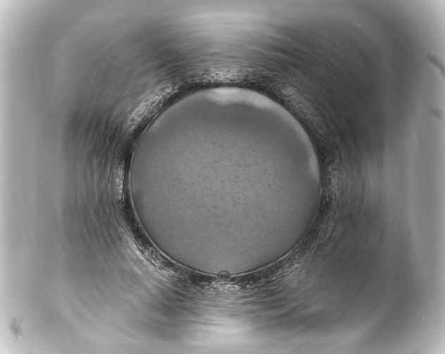 X0000101440640200807281024